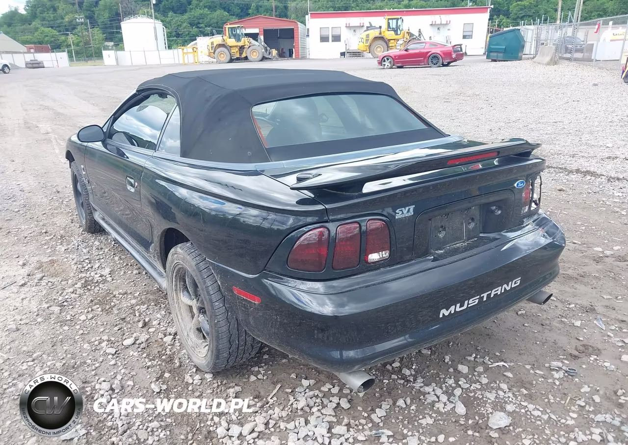 1995 Ford Mustang Cobra Svt VIN:1FALP45D0SF216383 - 3