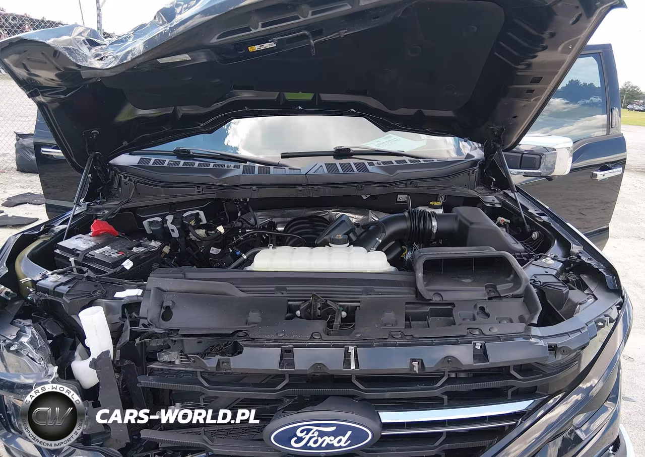 2024 Ford F-150 Xlt VIN:1FTFW3L58RKF25956 - 10