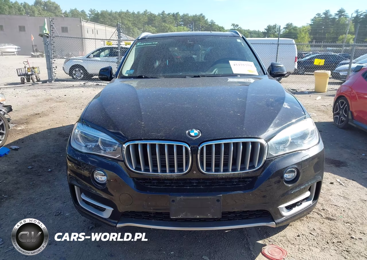 2016 BMW X5 Edrive xDrive40E VIN:5UXKT0C55G0S78523 - 13
