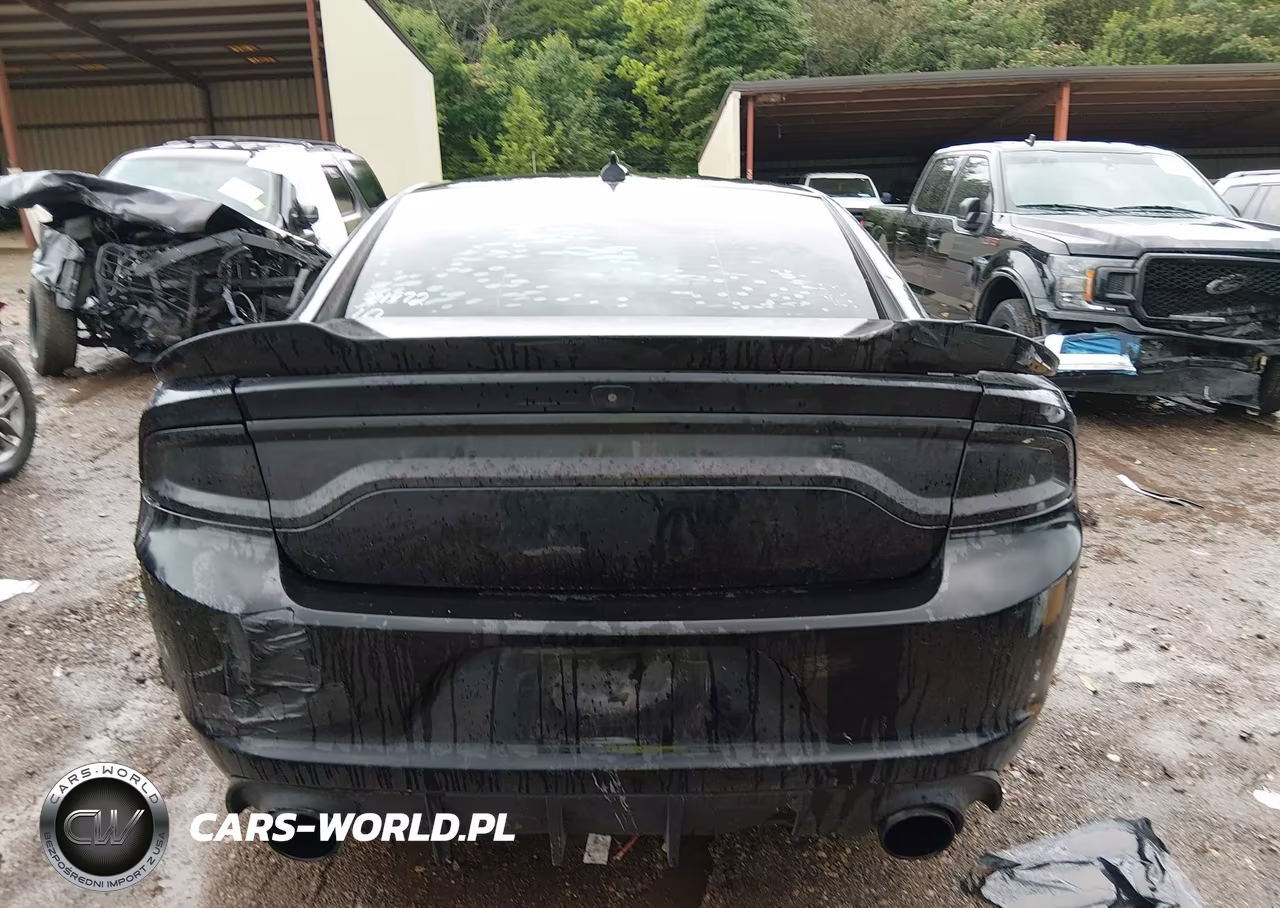2016 Dodge Charger Sxt VIN:2C3CDXHG0GH301972 - 16