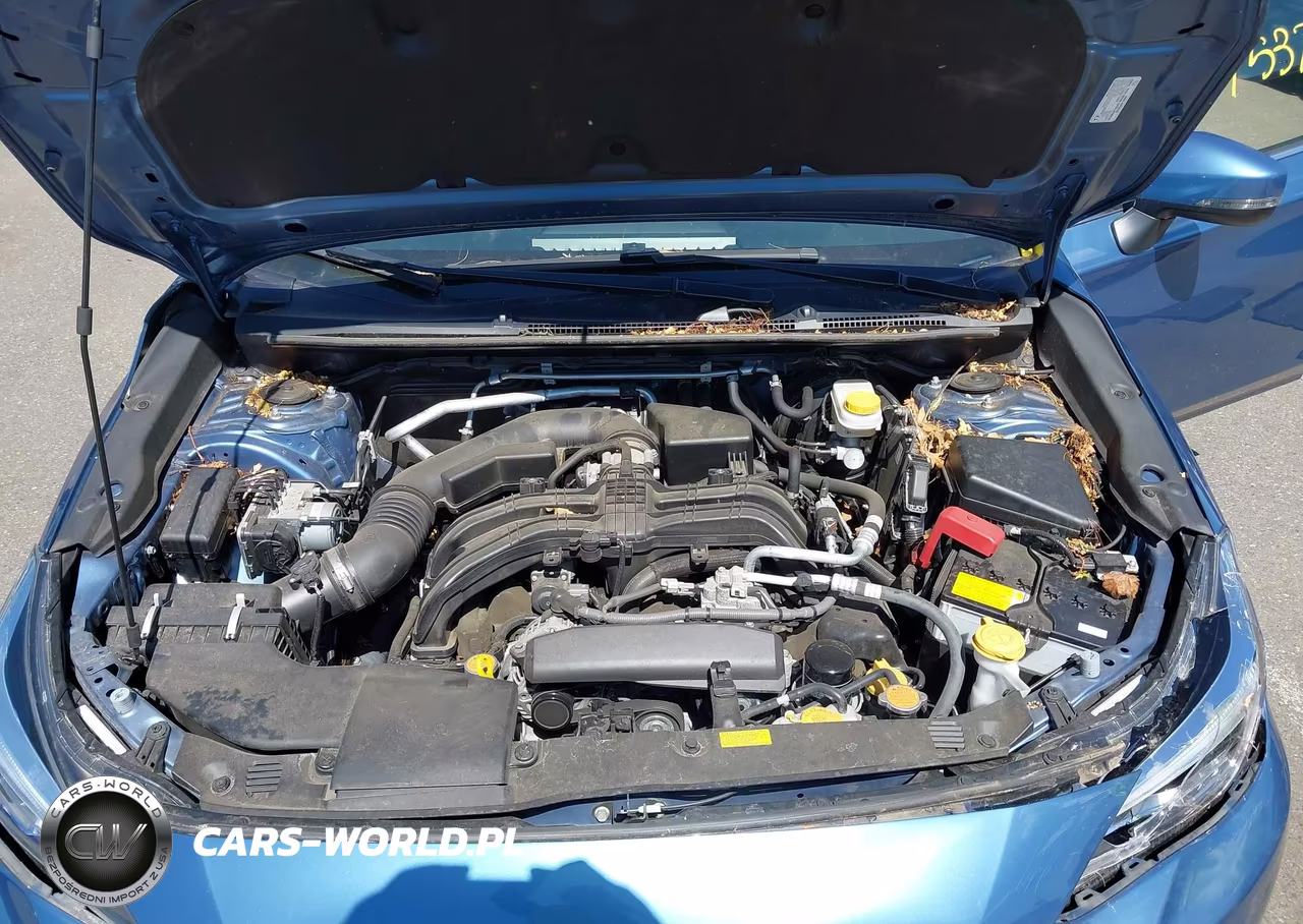 2023 Subaru Crosstrek Limited VIN:JF2GTHMC8PH307776 - 10