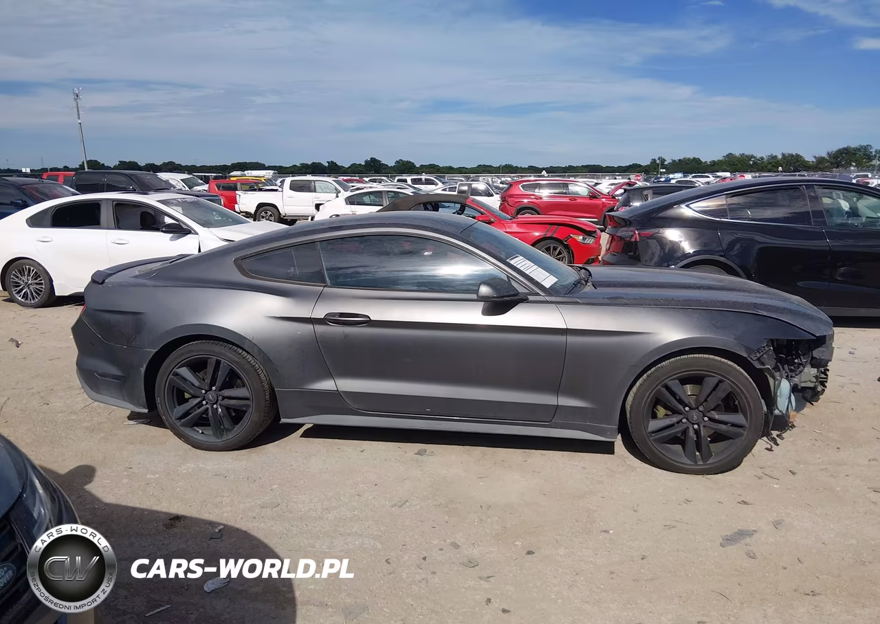 2017 Ford Mustang Ecoboost VIN:1FA6P8TH9H5259242 - 14