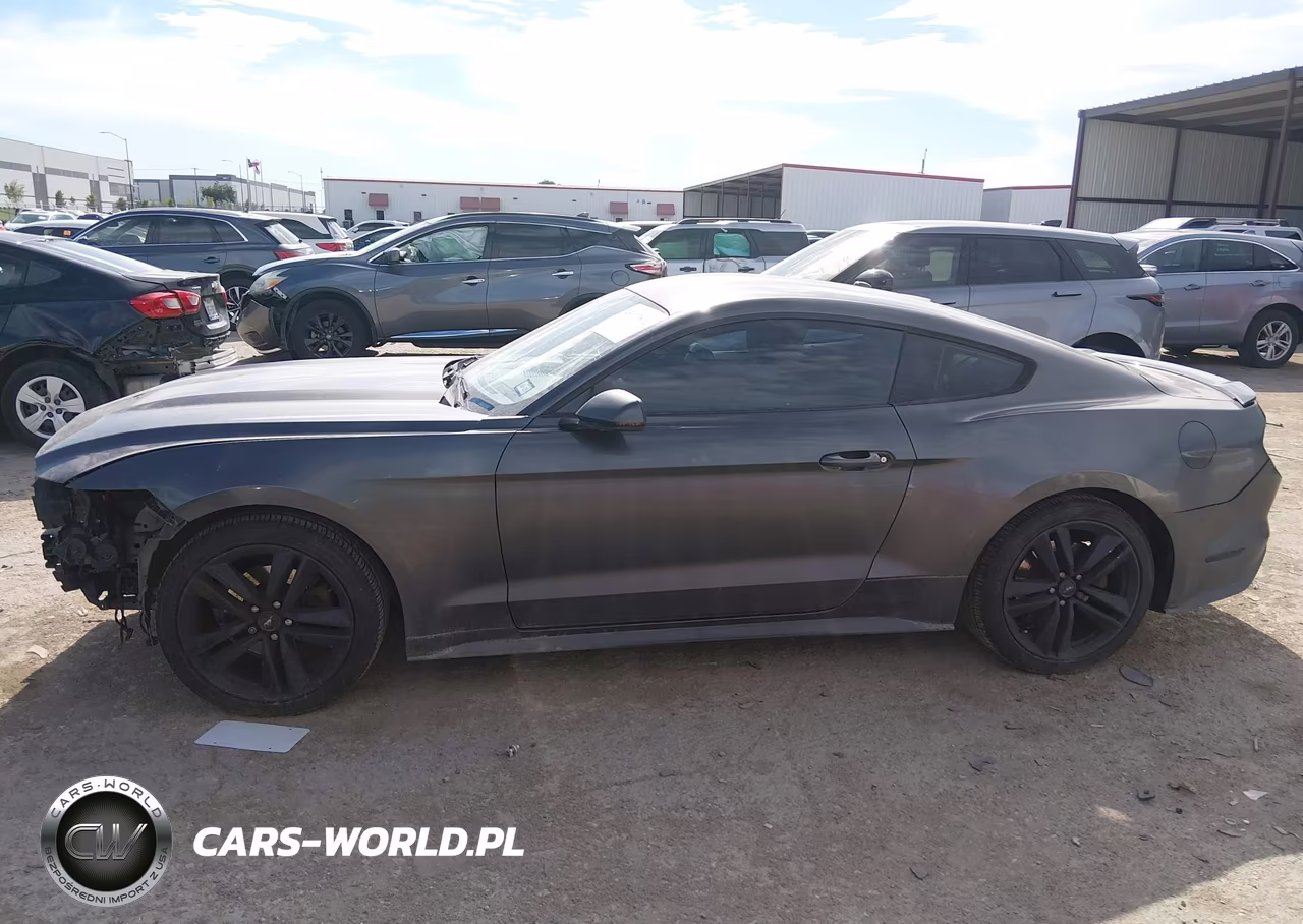2017 Ford Mustang Ecoboost VIN:1FA6P8TH9H5259242 - 15