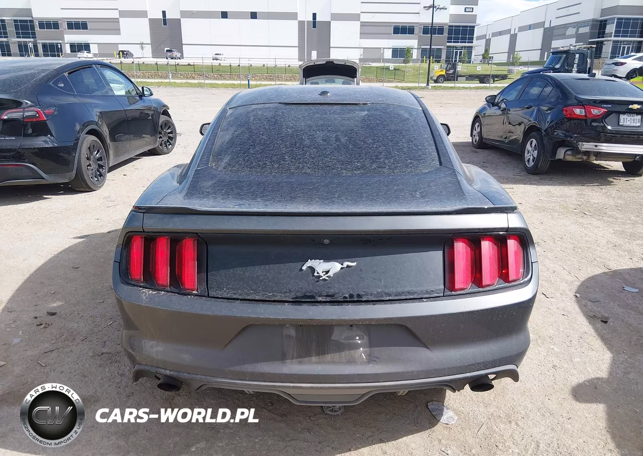 2017 Ford Mustang Ecoboost VIN:1FA6P8TH9H5259242 - 17