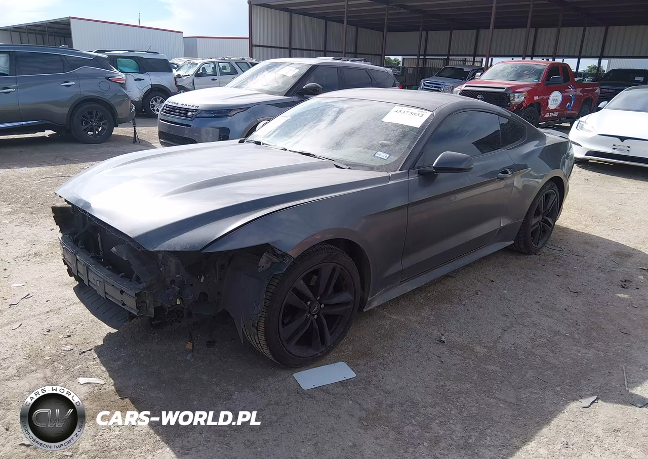 2017 Ford Mustang Ecoboost VIN:1FA6P8TH9H5259242 - 2