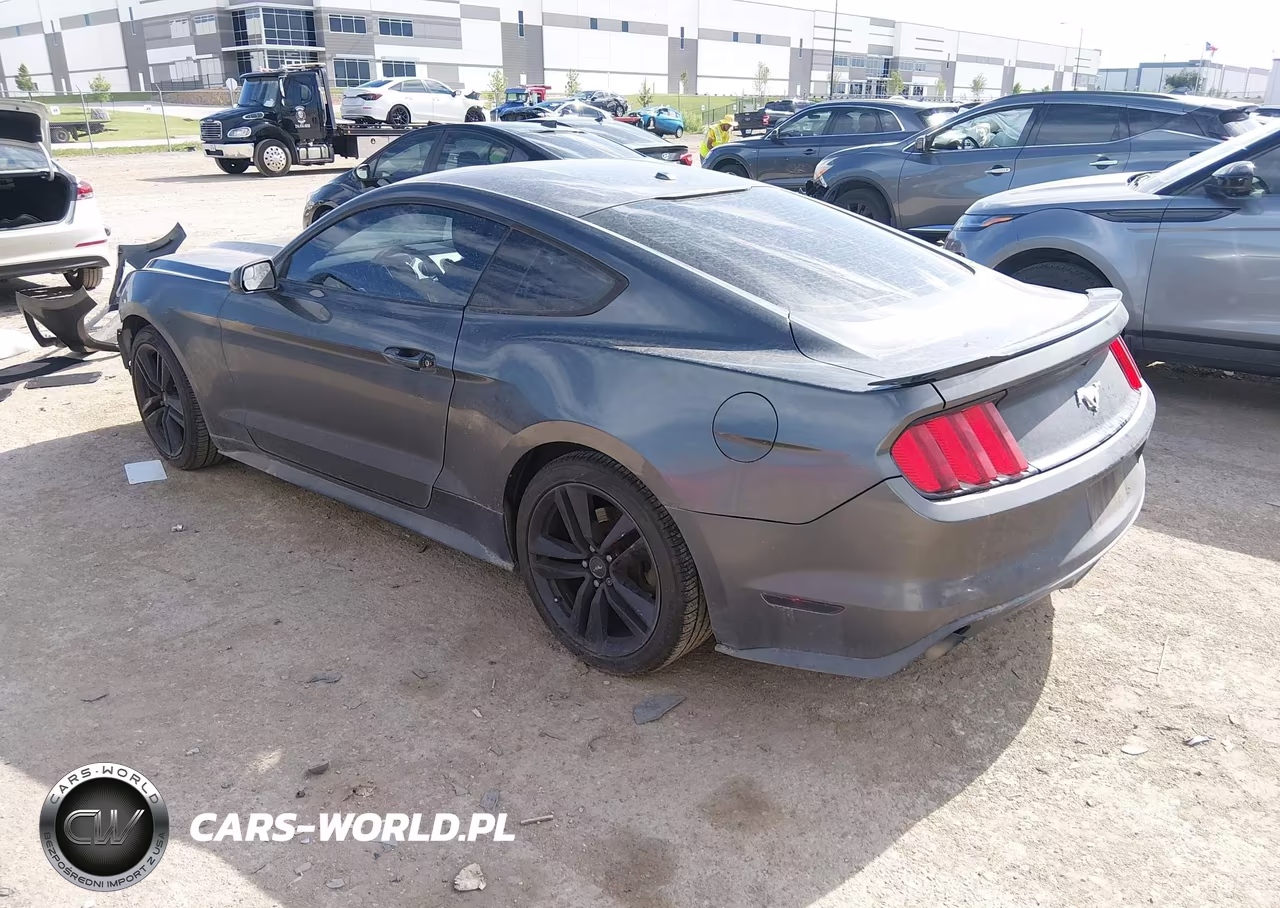 2017 Ford Mustang Ecoboost VIN:1FA6P8TH9H5259242 - 3