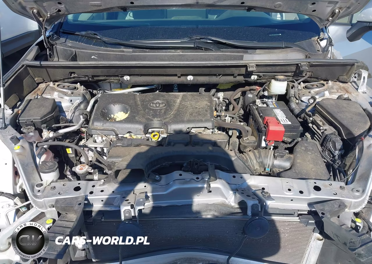 2019 Toyota Rav4 Xle Premium VIN:JTMC1RFV2KD027035 - 10