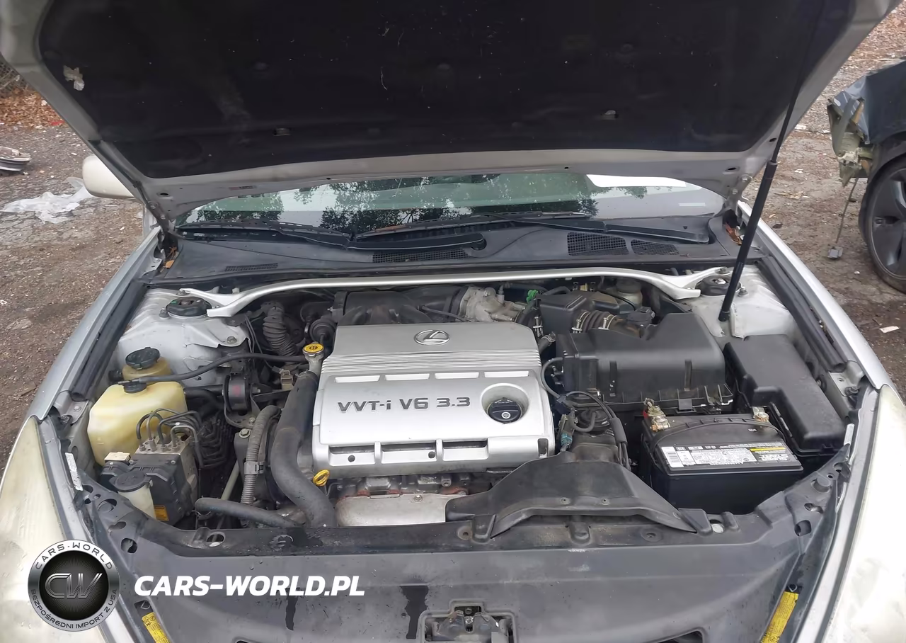 2006 Lexus Es 330 VIN:JTHBA30G965163504 - 10