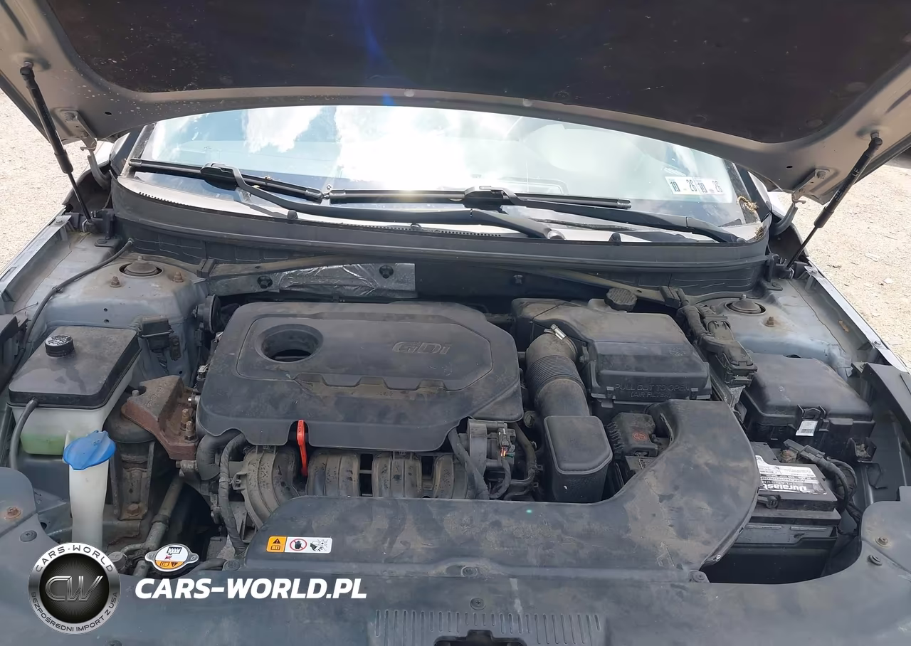 2015 Hyundai Sonata Se VIN:5NPE24AF8FH245845 - 10