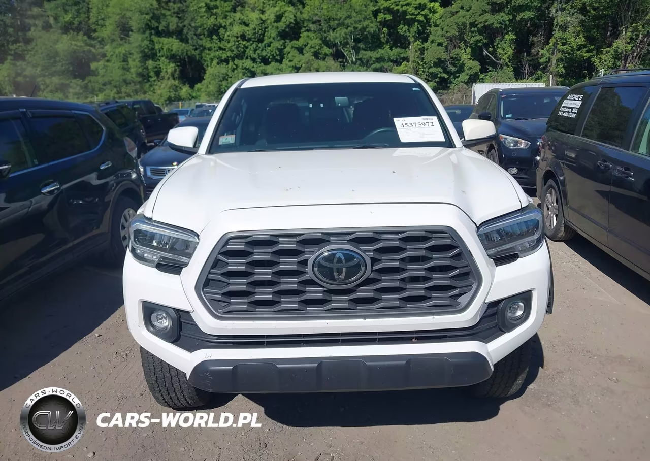 2023 Toyota Tacoma Trd Off Road VIN:3TYDZ5BN2PT022400 - 12