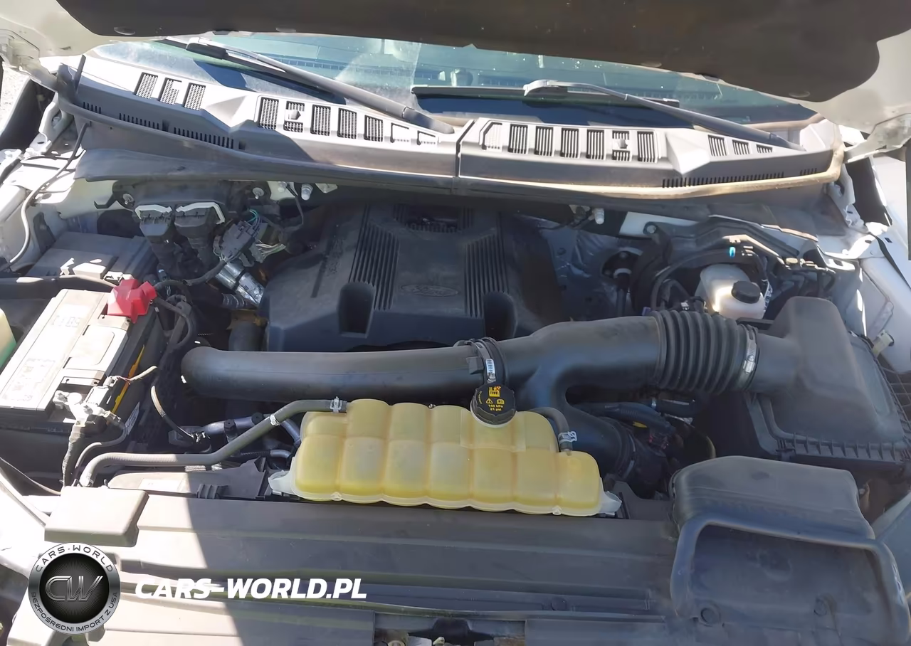 2019 Ford F-150 Xlt VIN:1FTEW1E44KKD79467 - 10