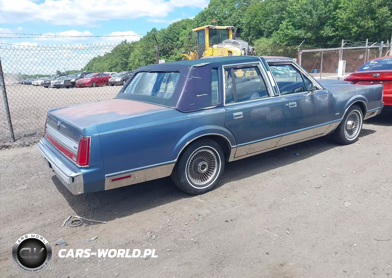 1988 Lincoln Town Car Signature VIN:1LNBM82F1JY725778 - 4
