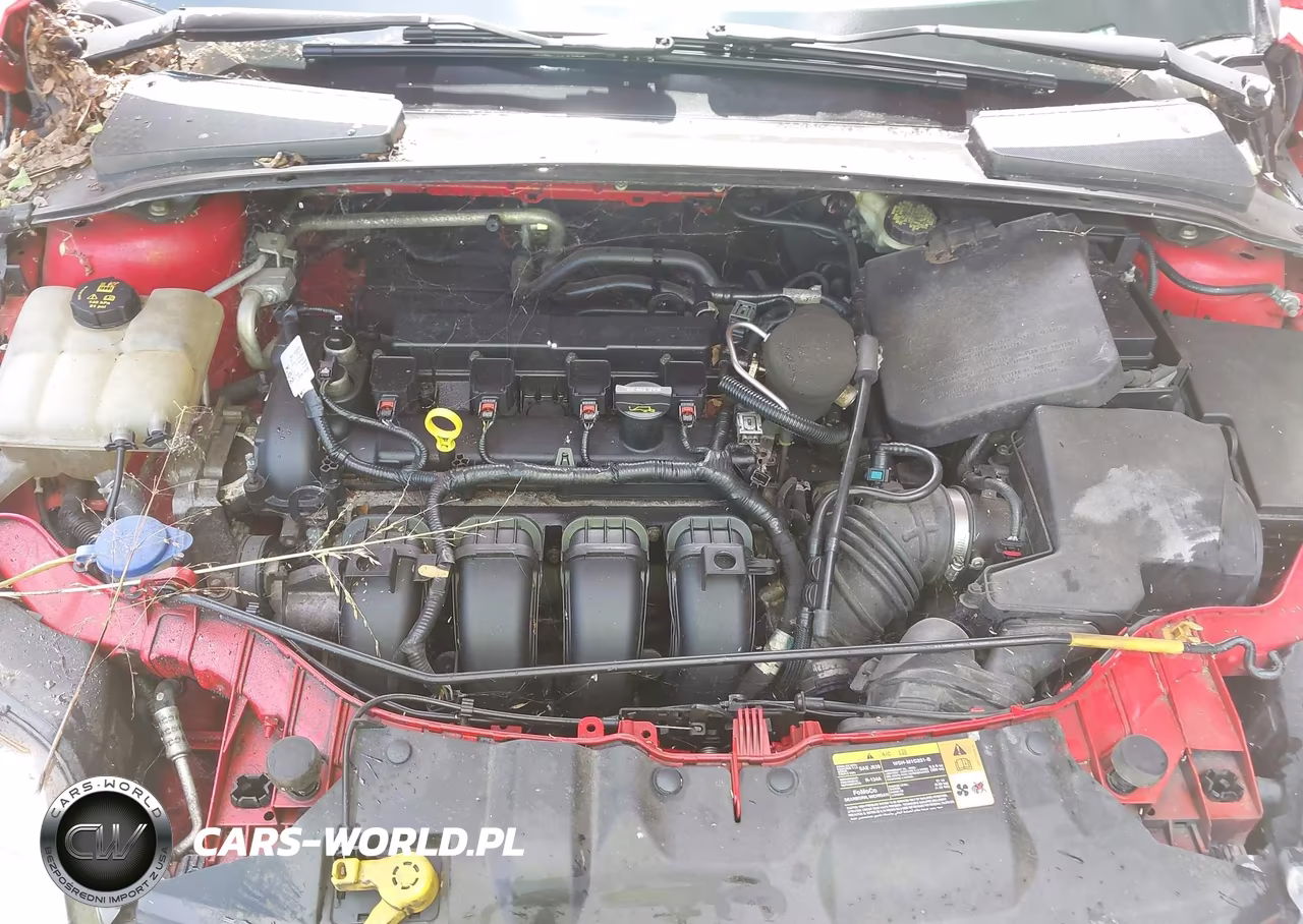 2014 Ford Focus Se VIN:1FADP3F23EL172218 - 10