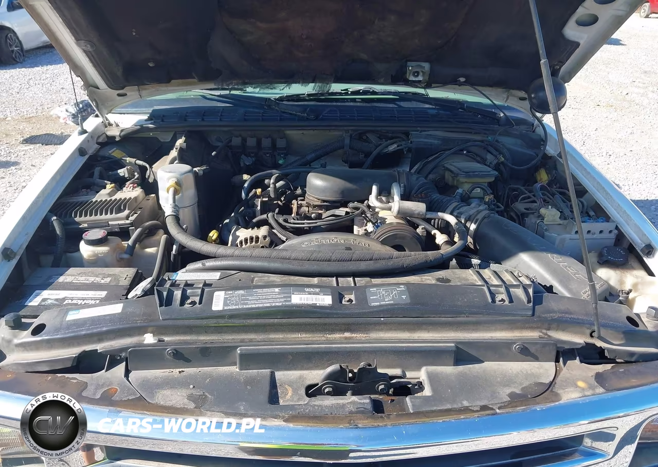 1996 Chevrolet S Truck S10 VIN:1GCCS19X6T8129606 - 10