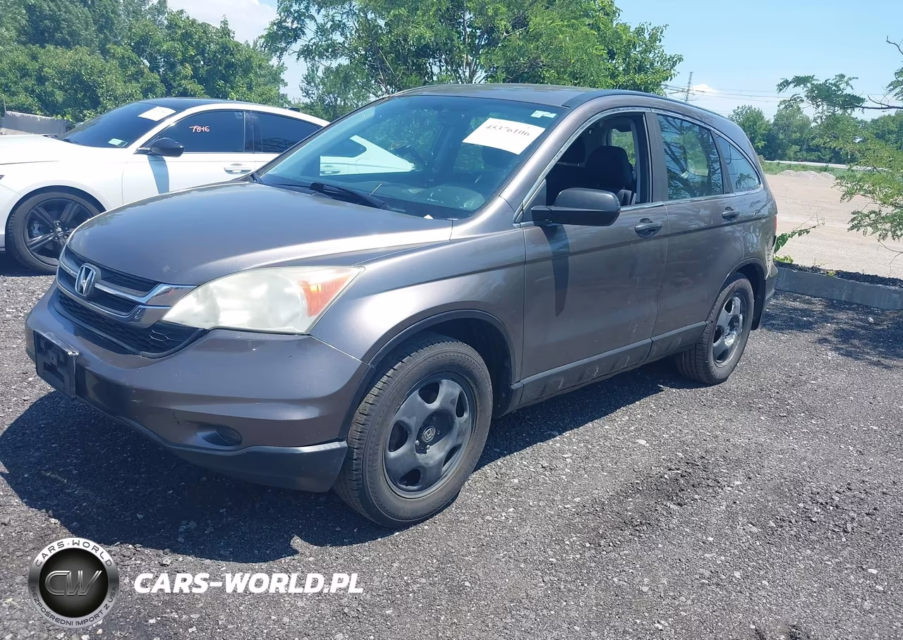 2010 Honda Cr-V Lx VIN:5J6RE4H31AL092406 - 2