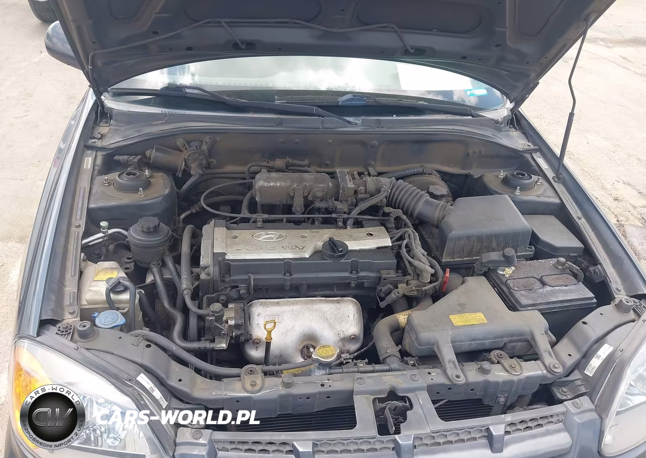 2005 Hyundai Accent Gls-Gt VIN:KMHCG35C95U366631 - 10