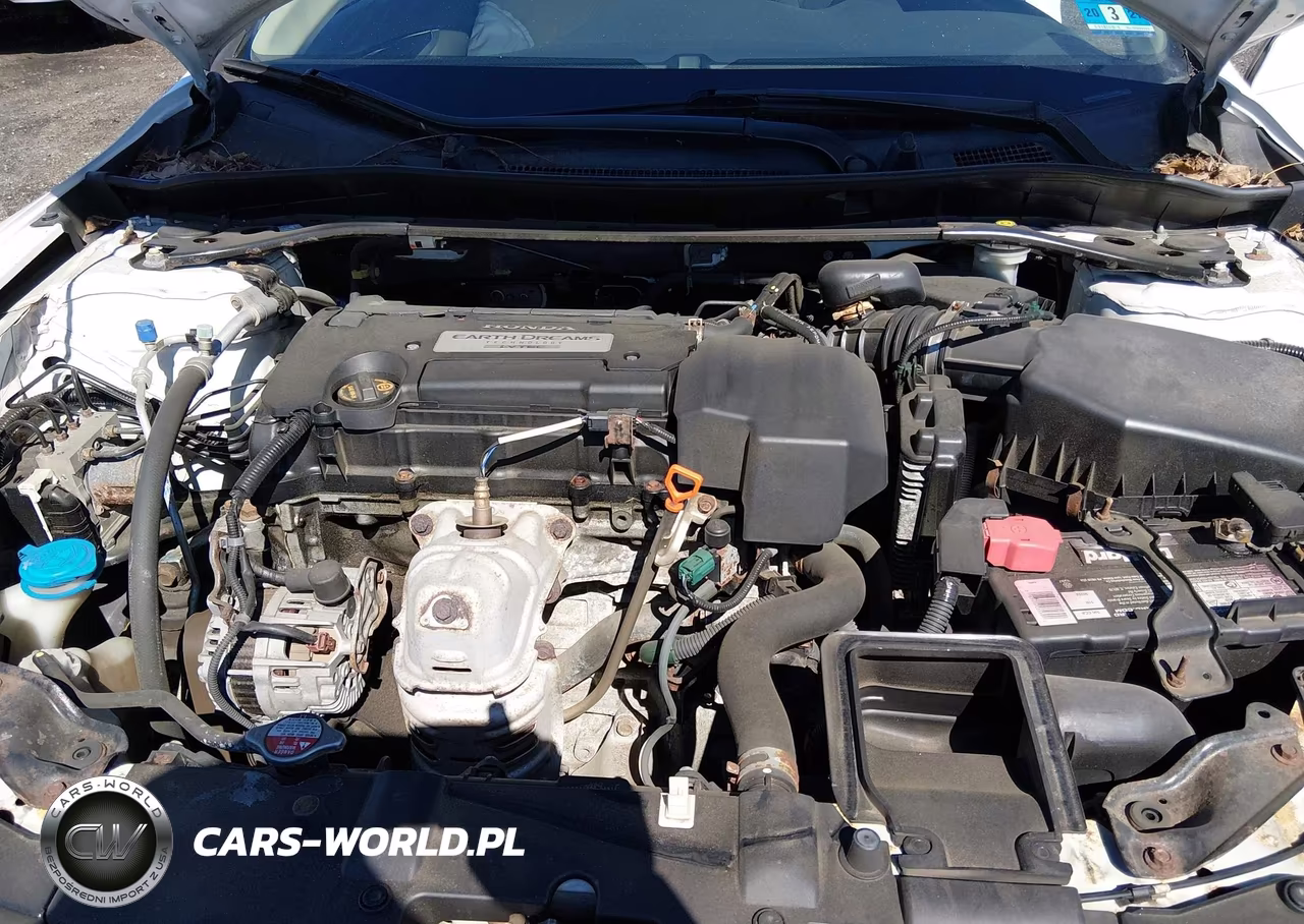 2013 Honda Accord Ex-L VIN:1HGCT1B89DA018009 - 10
