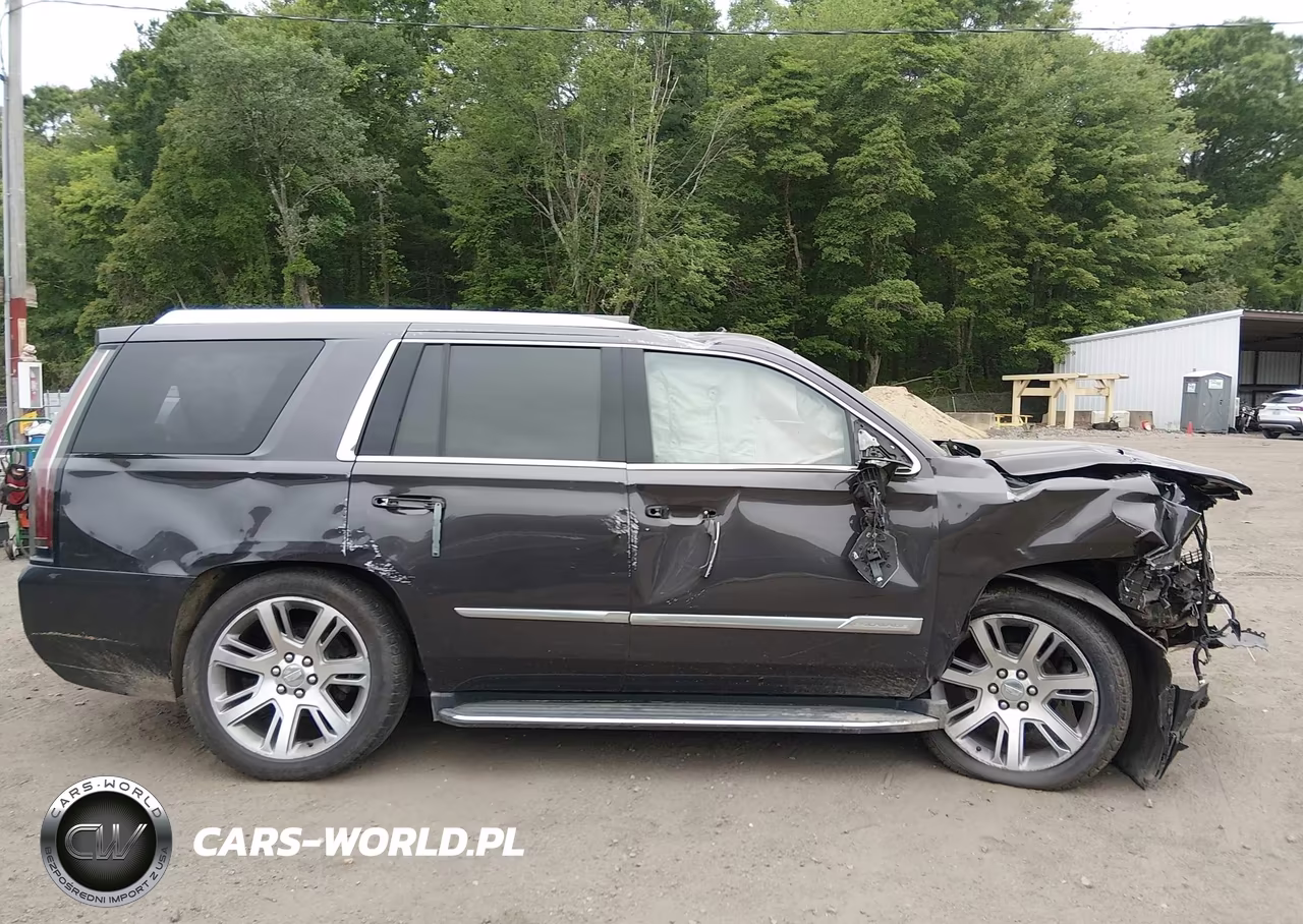 2016 Cadillac Escalade Luxury Collection VIN:1GYS4BKJ7GR420689 - 13