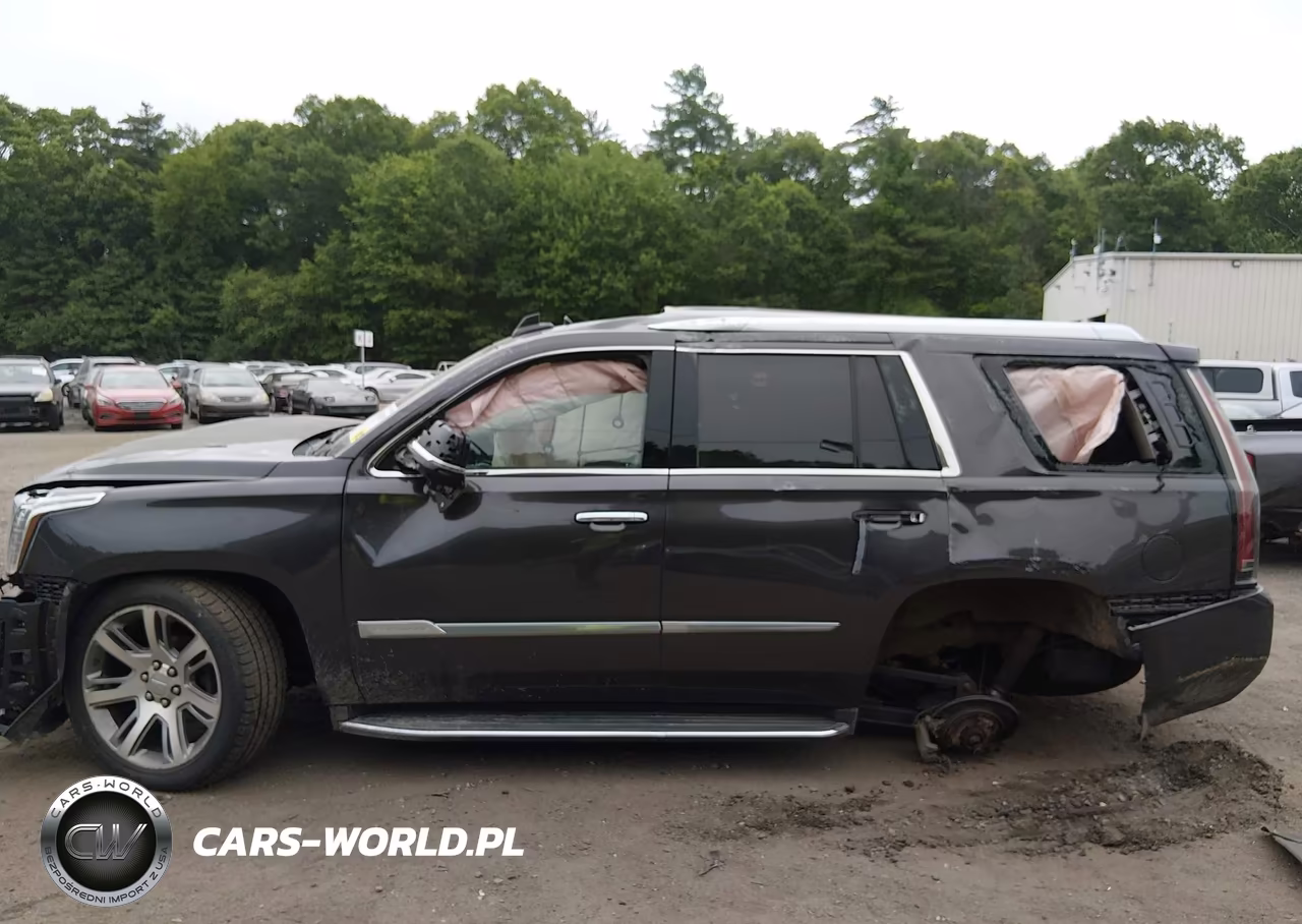 2016 Cadillac Escalade Luxury Collection VIN:1GYS4BKJ7GR420689 - 14