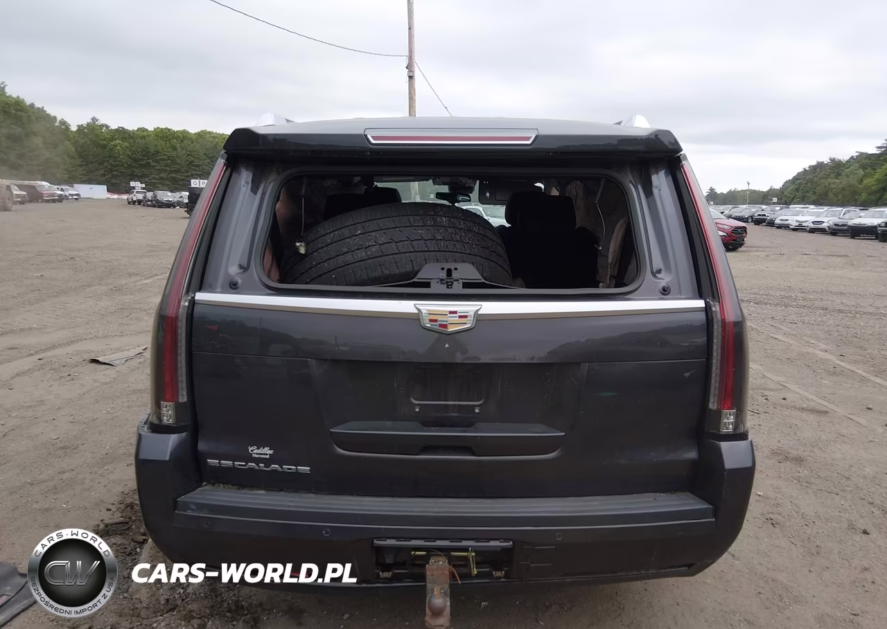2016 Cadillac Escalade Luxury Collection VIN:1GYS4BKJ7GR420689 - 16