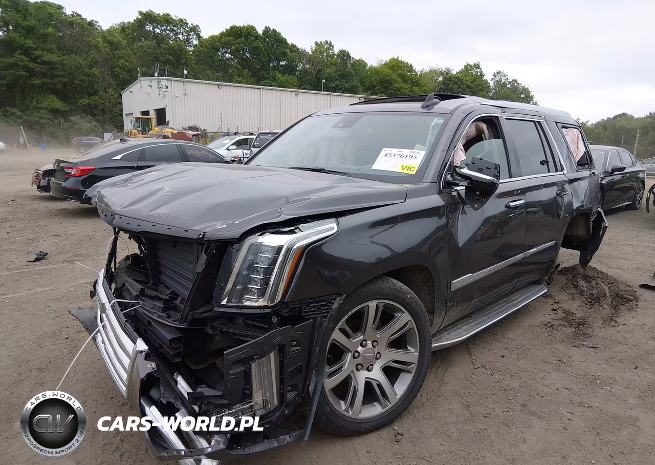 2016 Cadillac Escalade Luxury Collection VIN:1GYS4BKJ7GR420689 - 2