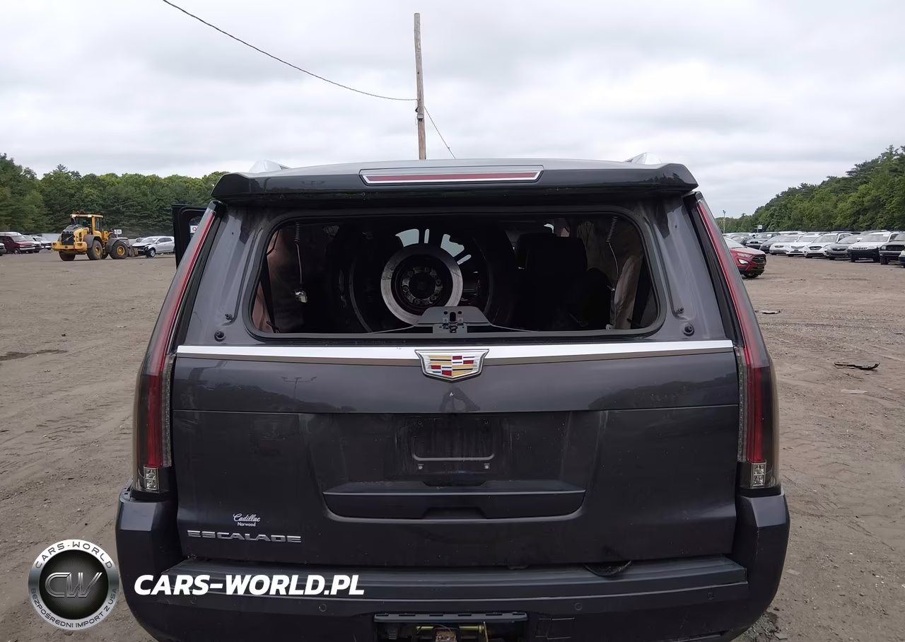 2016 Cadillac Escalade Luxury Collection VIN:1GYS4BKJ7GR420689 - 6