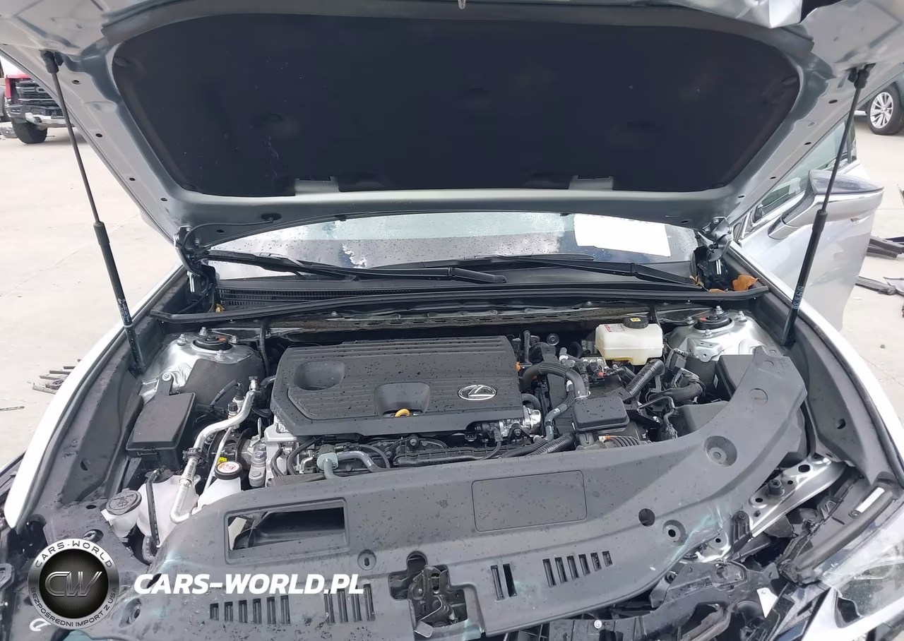2025 Lexus Es 300H VIN:58ADA1C13SU077177 - 10
