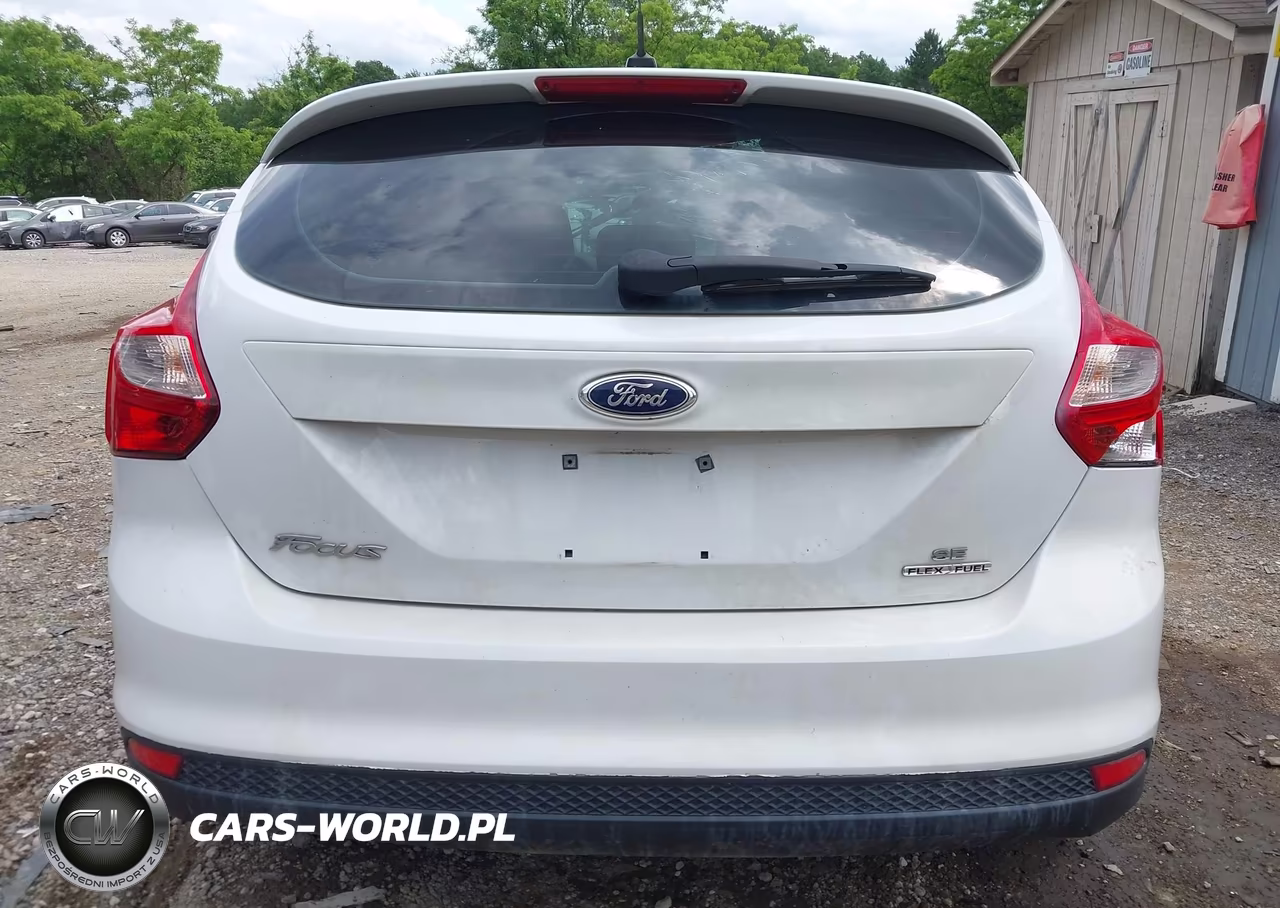 2013 Ford Focus Se VIN:1FADP3K29DL199752 - 16