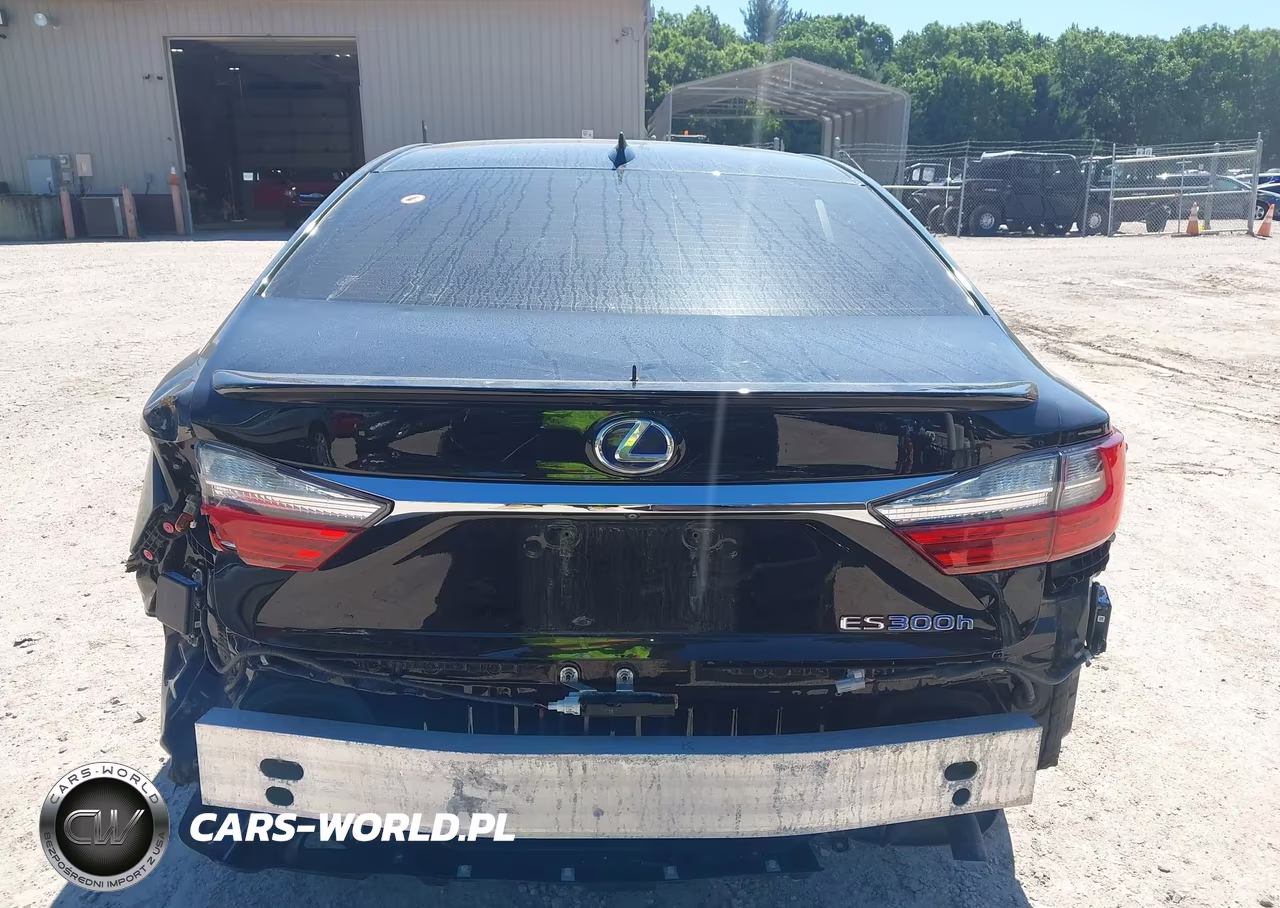 2018 Lexus Es 300H VIN:JTHBW1GG4J2183035 - 17