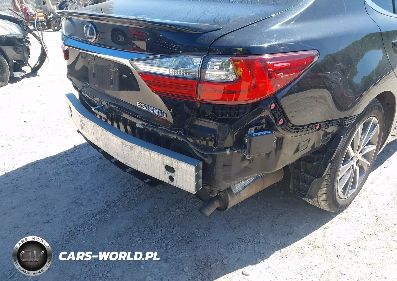 2018 Lexus Es 300H VIN:JTHBW1GG4J2183035 - 19