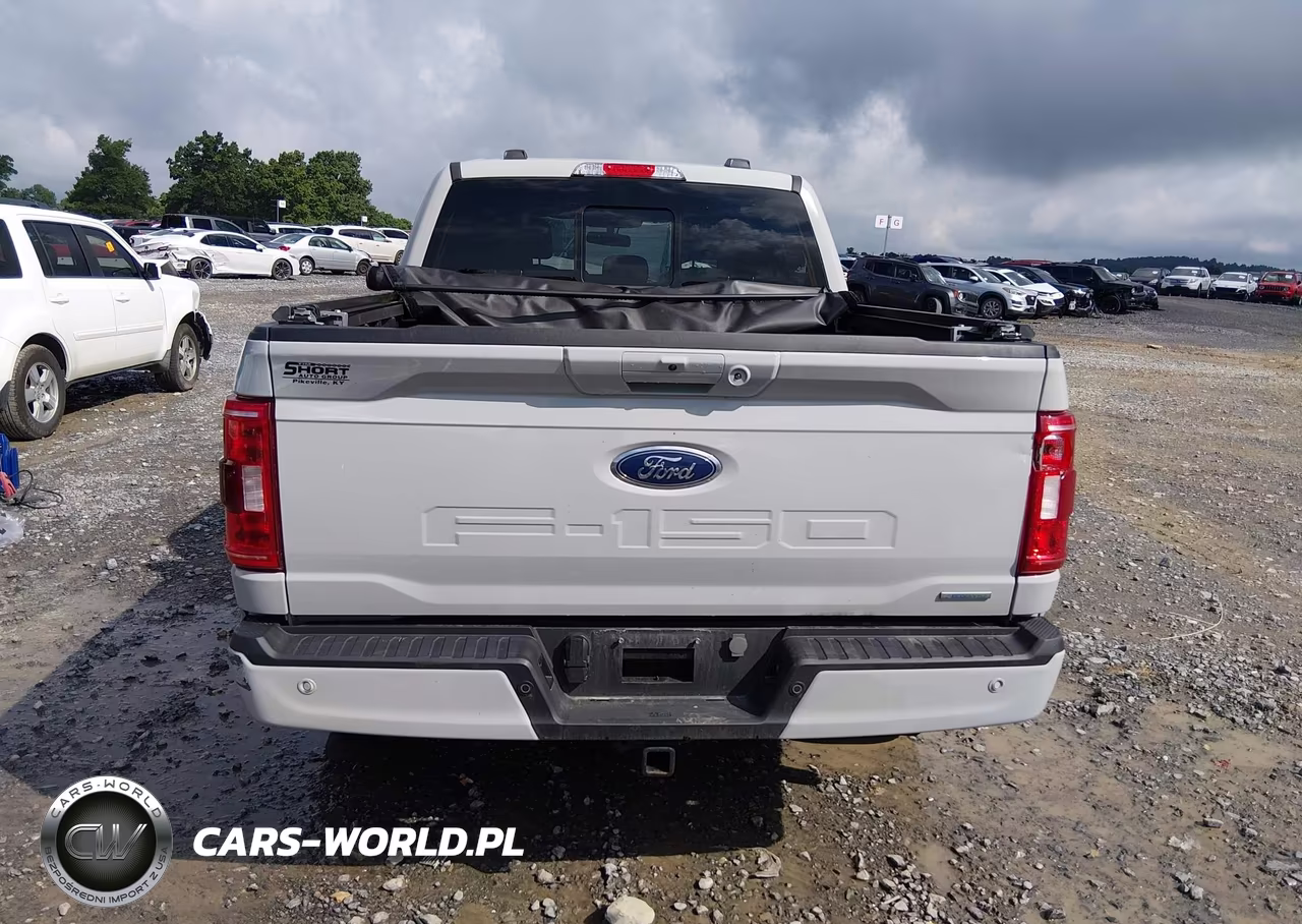 2023 Ford F-150 Xlt VIN:1FTEW1EP0PKE43697 - 17