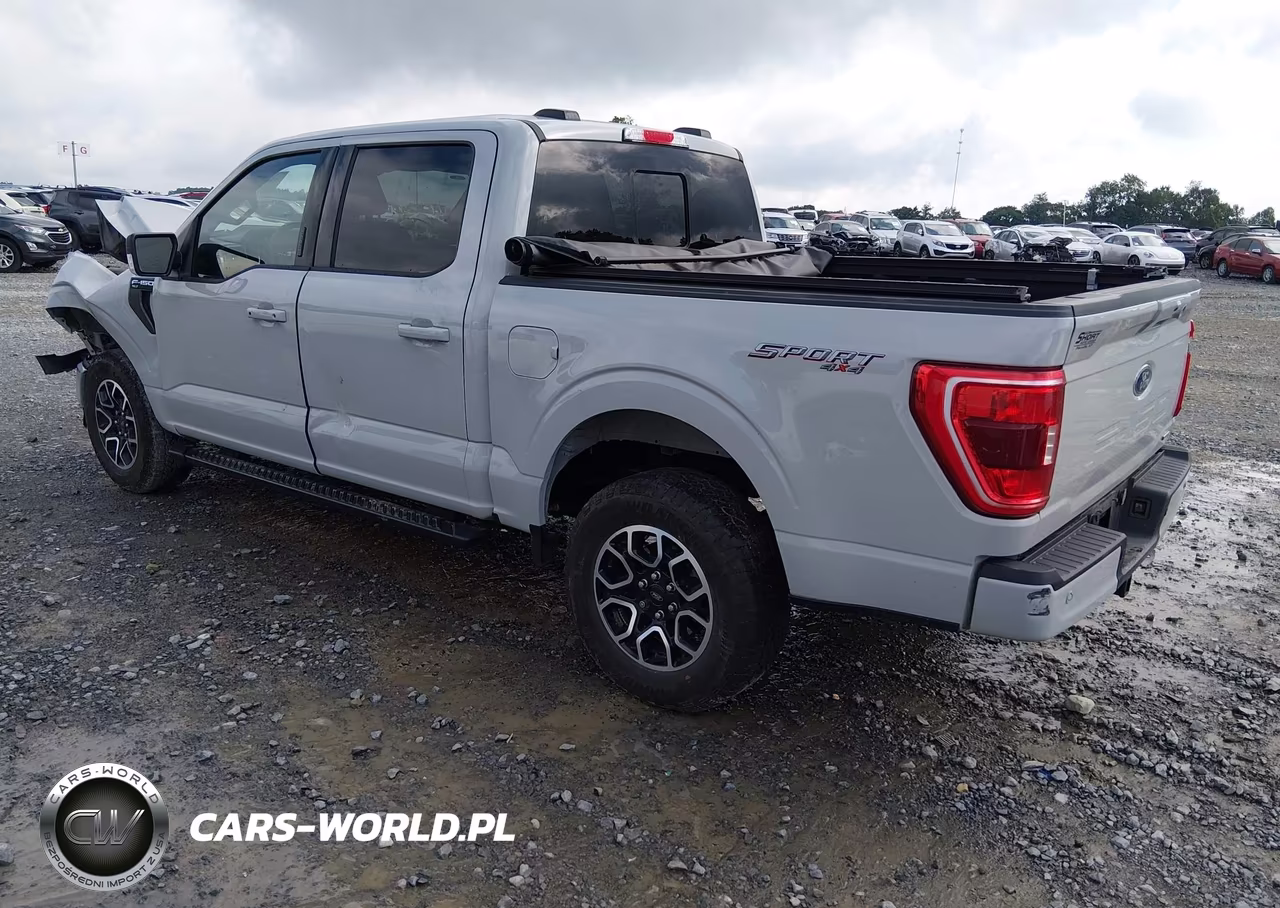 2023 Ford F-150 Xlt VIN:1FTEW1EP0PKE43697 - 3