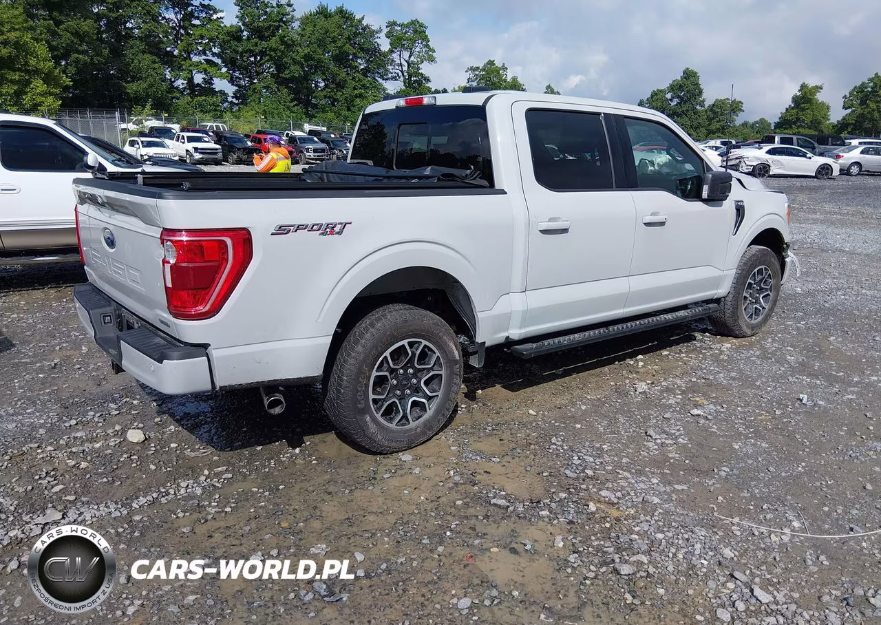 2023 Ford F-150 Xlt VIN:1FTEW1EP0PKE43697 - 4