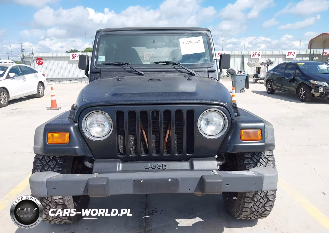 2002 Jeep Wrangler X VIN:1J4FA39S12P750556 - 12