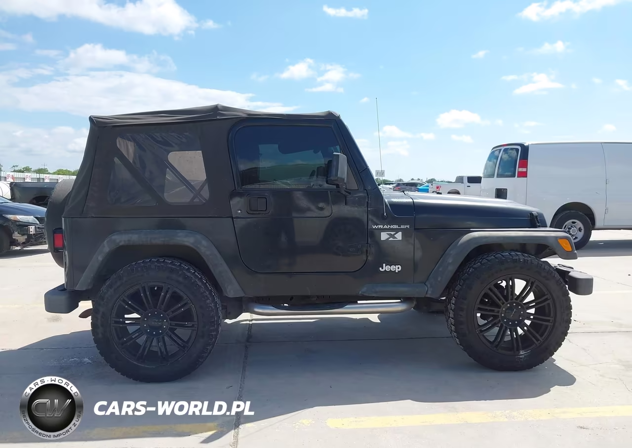 2002 Jeep Wrangler X VIN:1J4FA39S12P750556 - 13