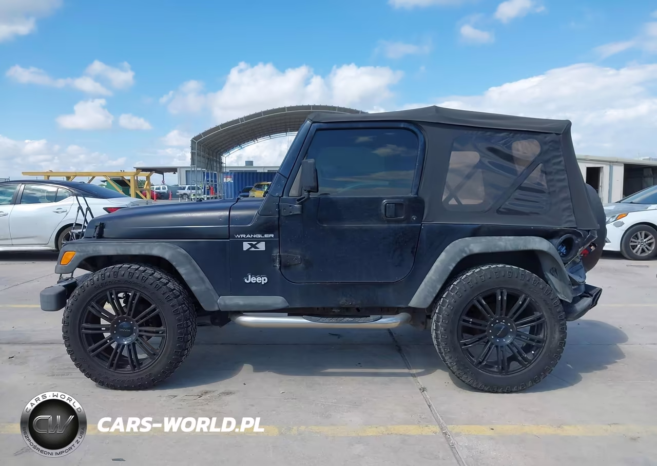 2002 Jeep Wrangler X VIN:1J4FA39S12P750556 - 14