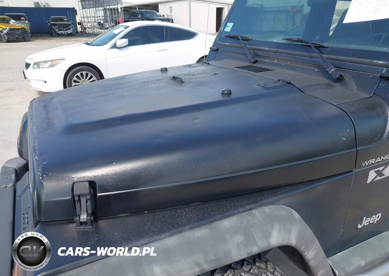 2002 Jeep Wrangler X VIN:1J4FA39S12P750556 - 17