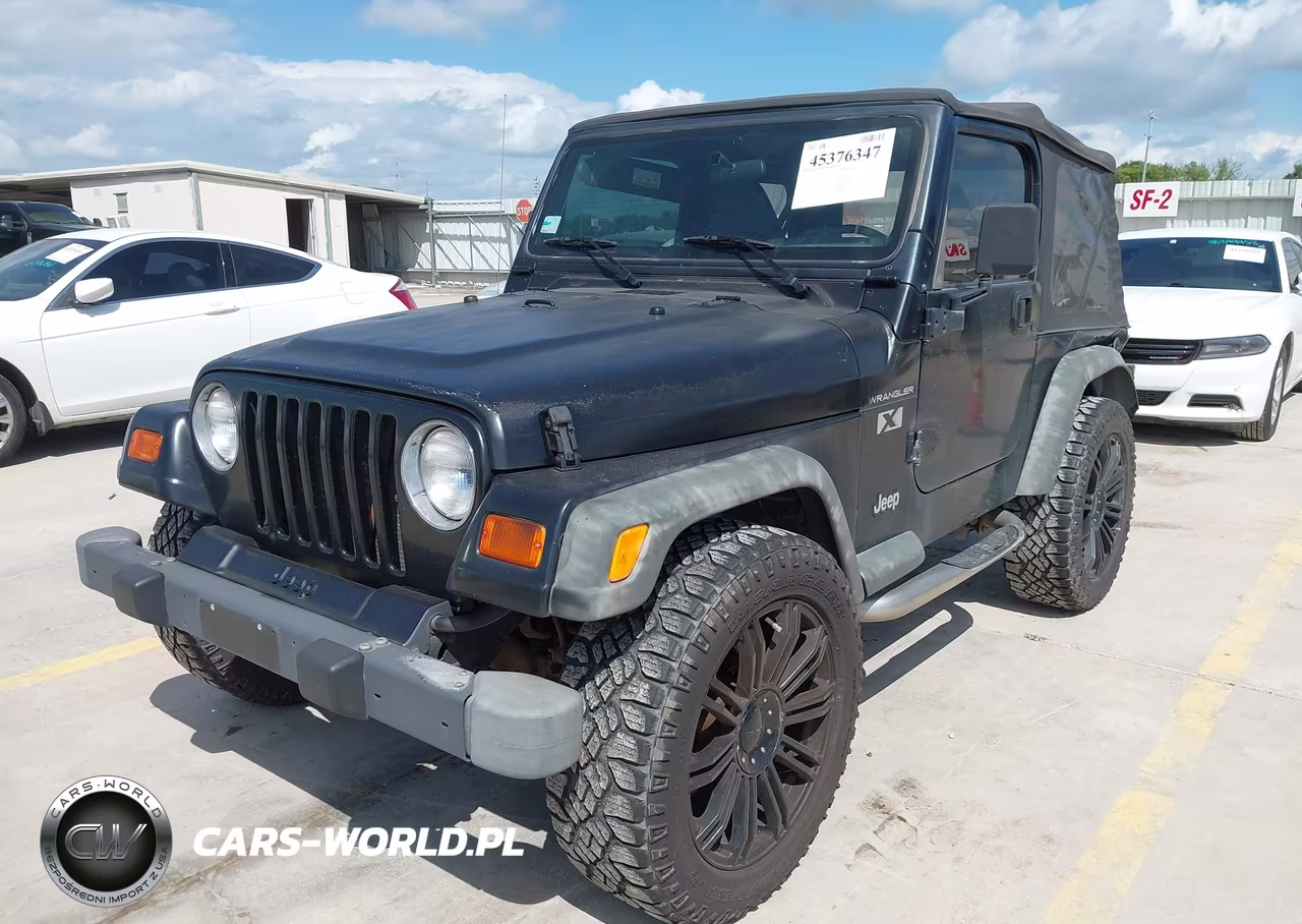 2002 Jeep Wrangler X VIN:1J4FA39S12P750556 - 2