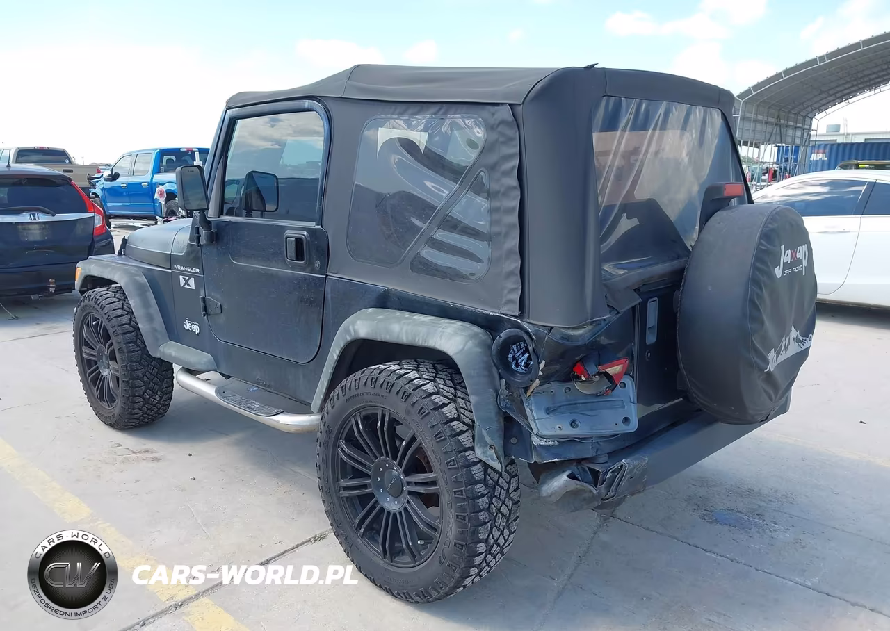 2002 Jeep Wrangler X VIN:1J4FA39S12P750556 - 3