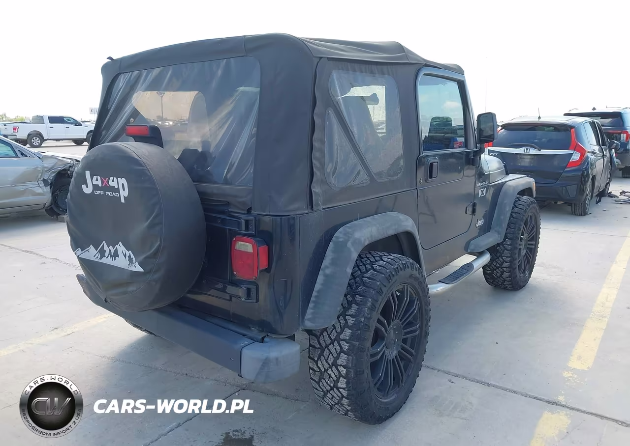 2002 Jeep Wrangler X VIN:1J4FA39S12P750556 - 4
