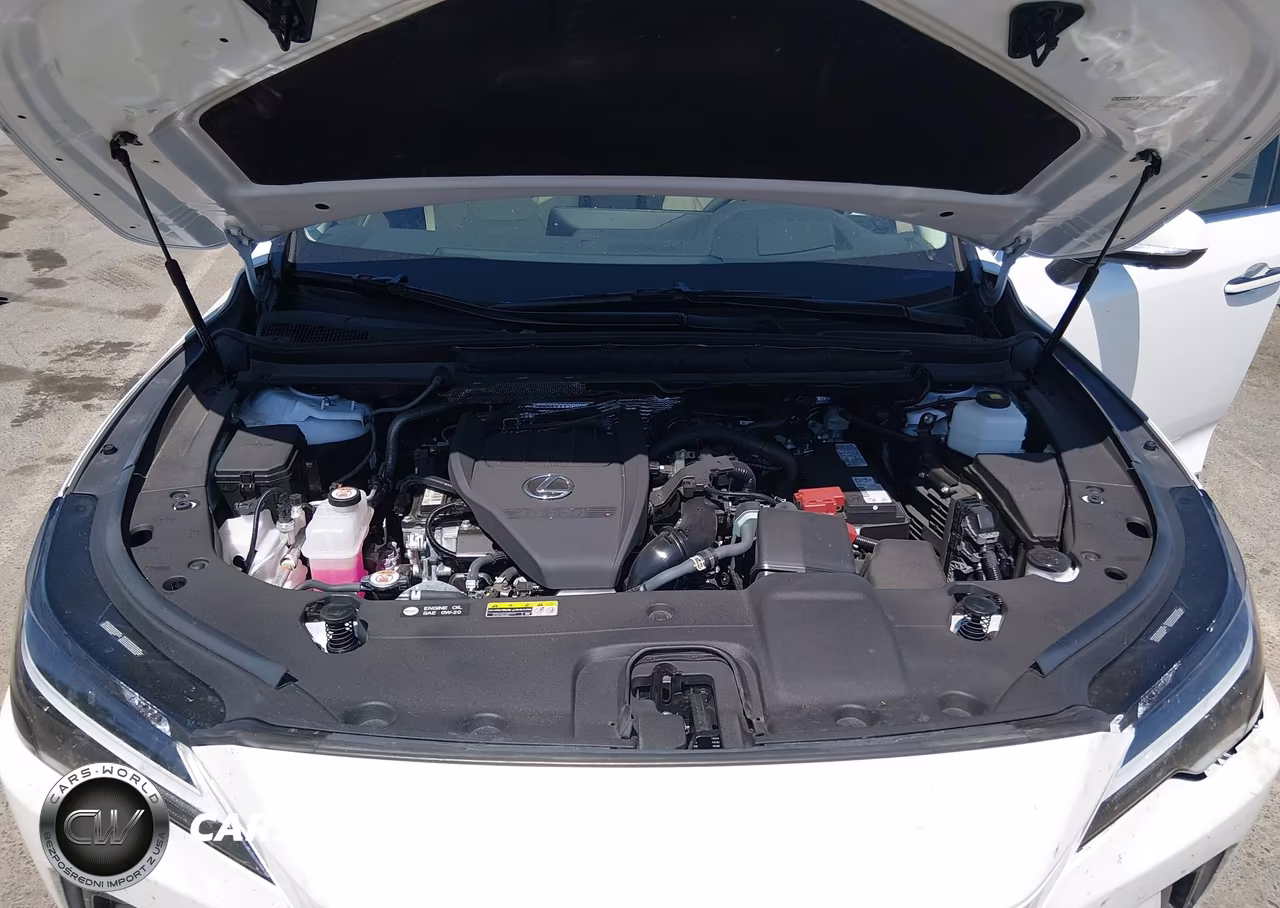2025 Lexus Rx 350 Premium Plus VIN:2T2BAMBA2SC060126 - 10