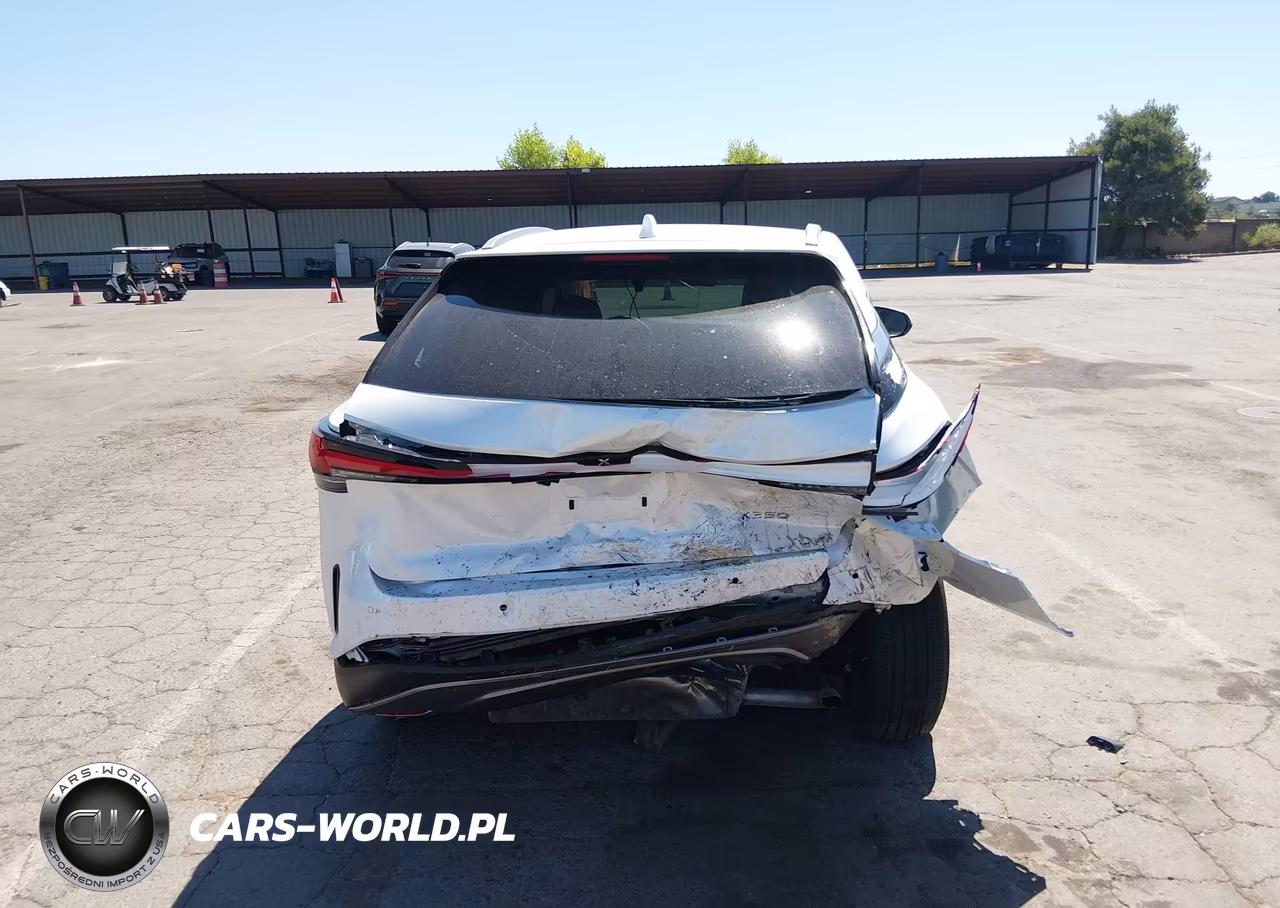 2025 Lexus Rx 350 Premium Plus VIN:2T2BAMBA2SC060126 - 17