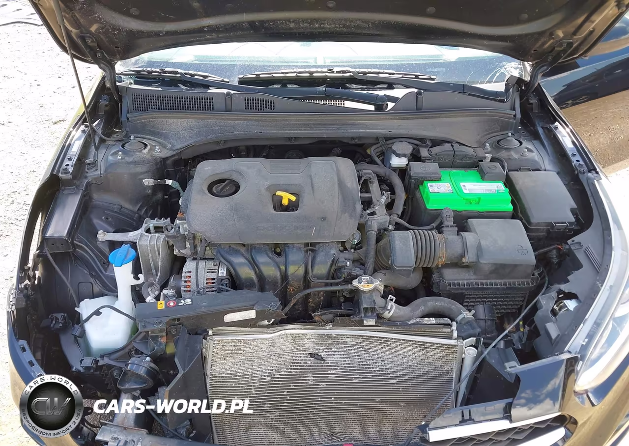 2019 Kia Forte Lxs VIN:3KPF24AD3KE124481 - 10