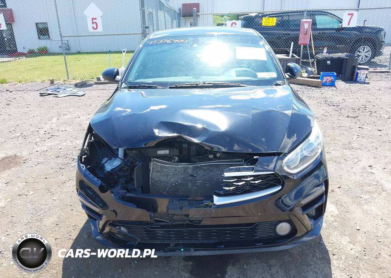 2019 Kia Forte Lxs VIN:3KPF24AD3KE124481 - 12