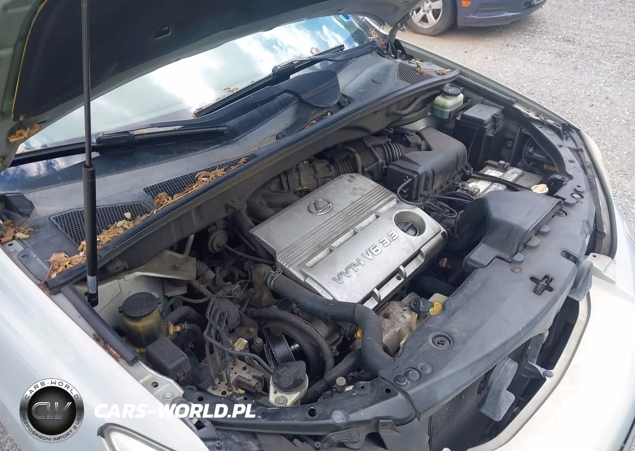 2004 Lexus Rx 330 VIN:JTJHA31U740011020 - 10