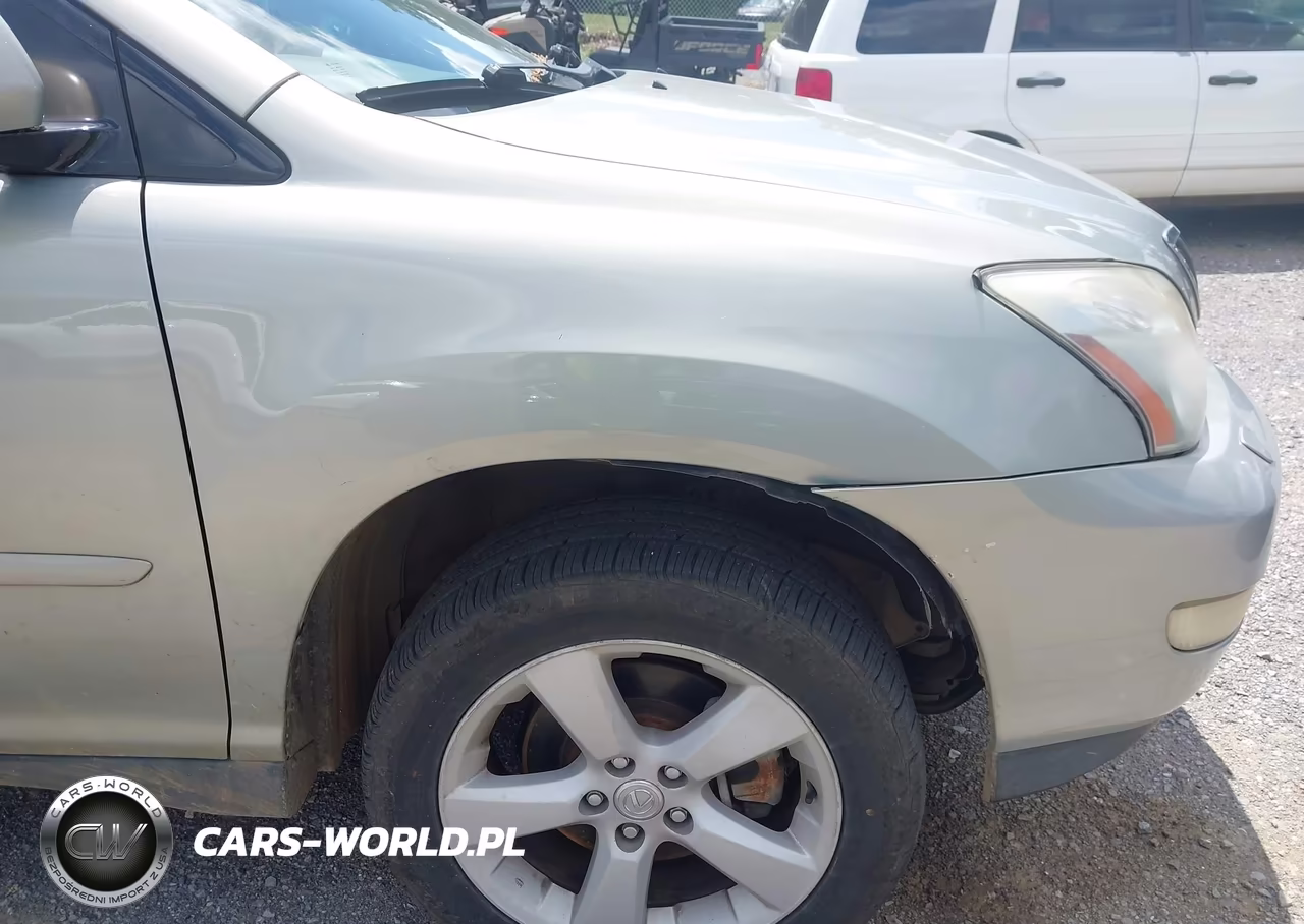 2004 Lexus Rx 330 VIN:JTJHA31U740011020 - 16