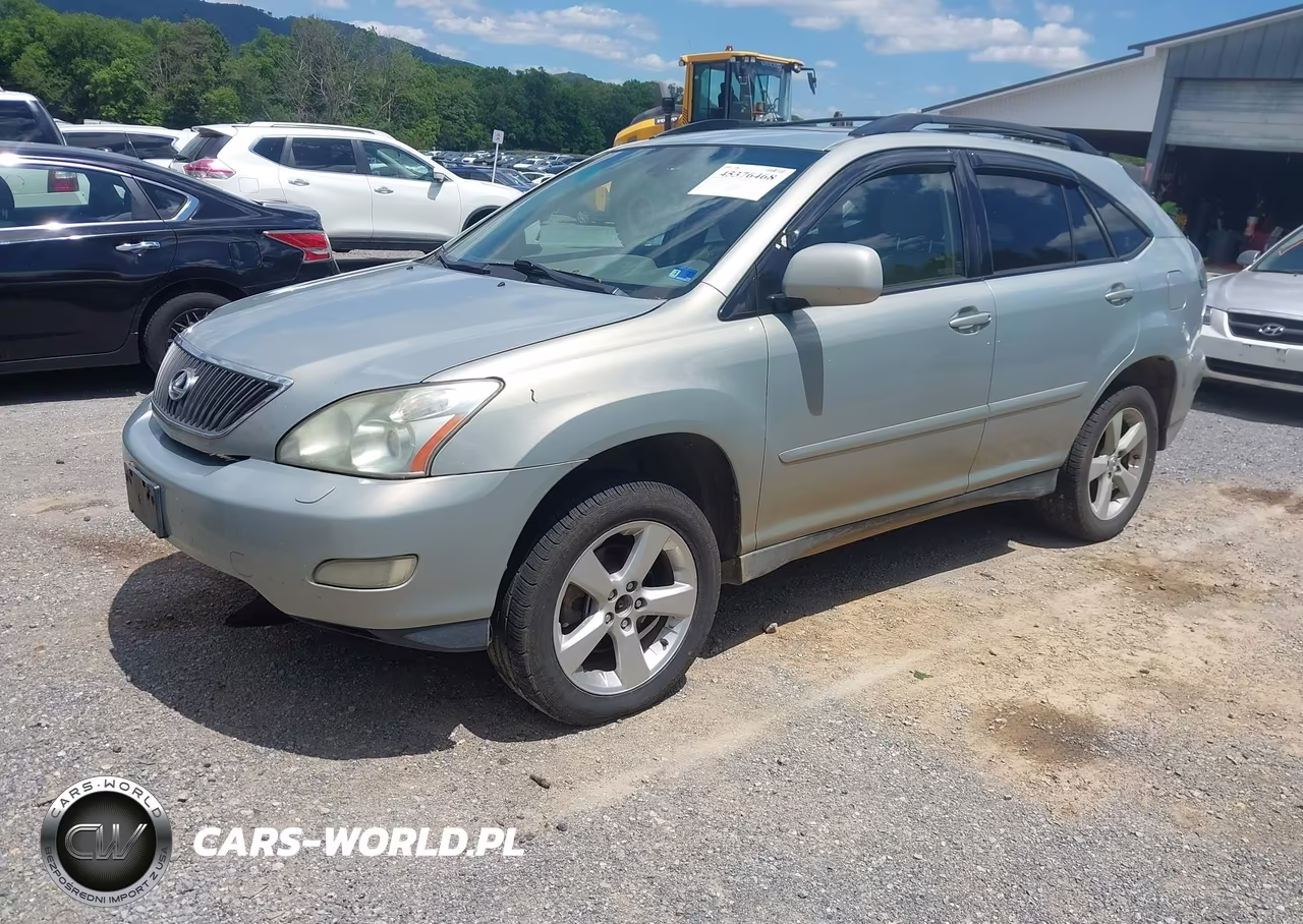 2004 Lexus Rx 330 VIN:JTJHA31U740011020 - 2