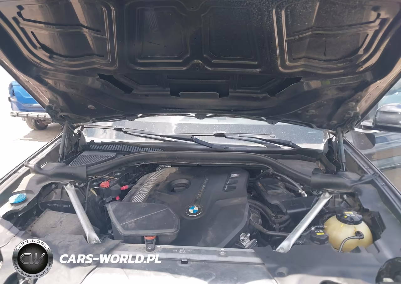 2019 BMW X3 Sdrive30I VIN:5UXTR7C5XKLF36850 - 10