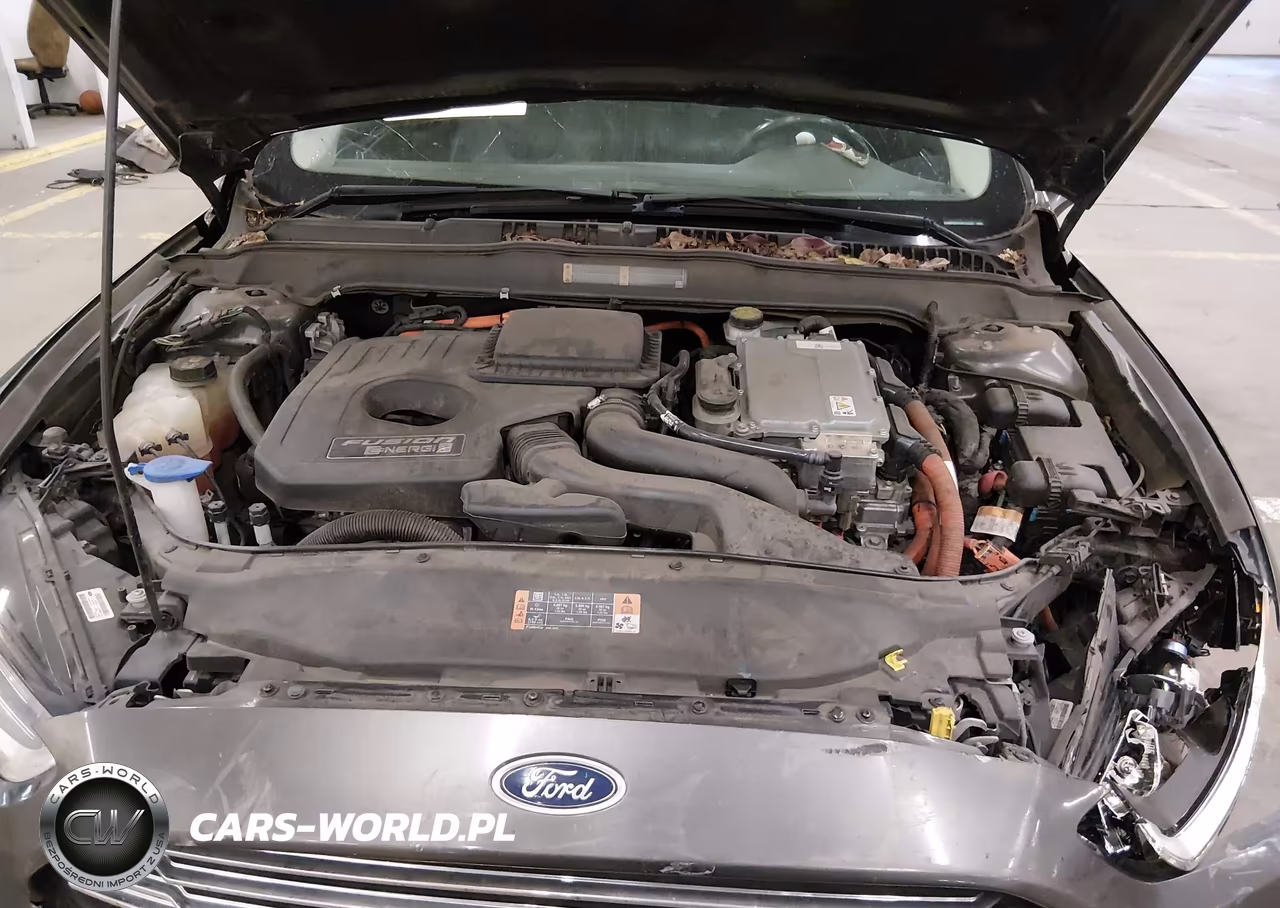 2016 Ford Fusion Energi Titanium VIN:3FA6P0SU5GR134945 - 10