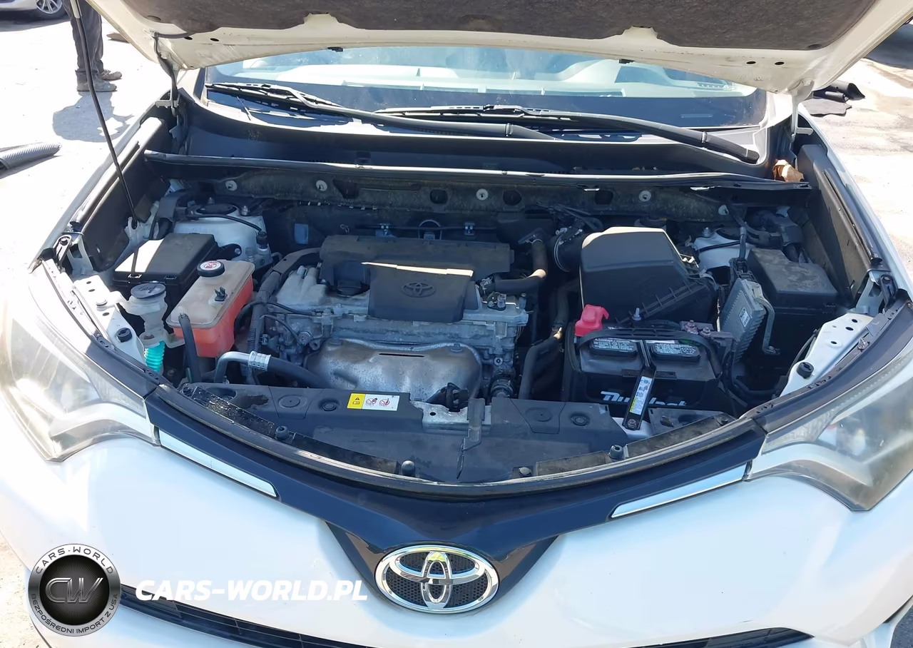 2016 Toyota Rav4 Xle VIN:JTMWFREV4GJ100382 - 10